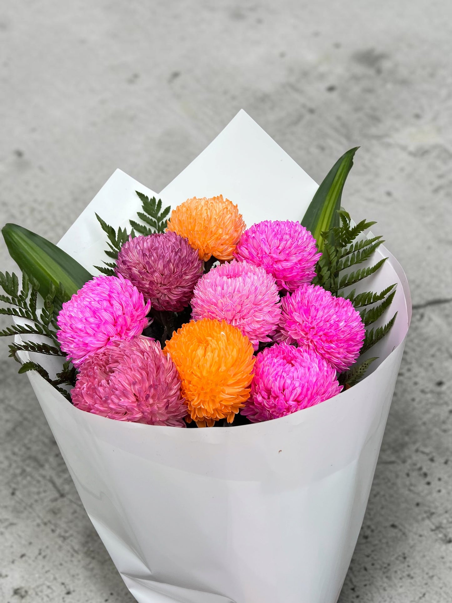 Fiesta