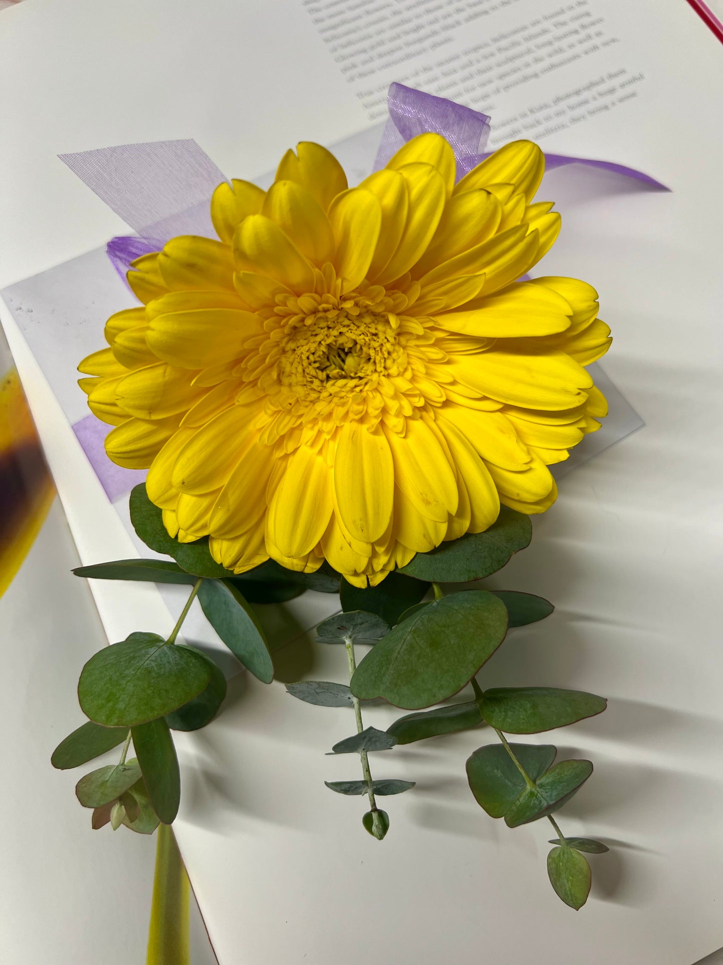 Fresh Flower Bouquet | Yellow | Mangawhai