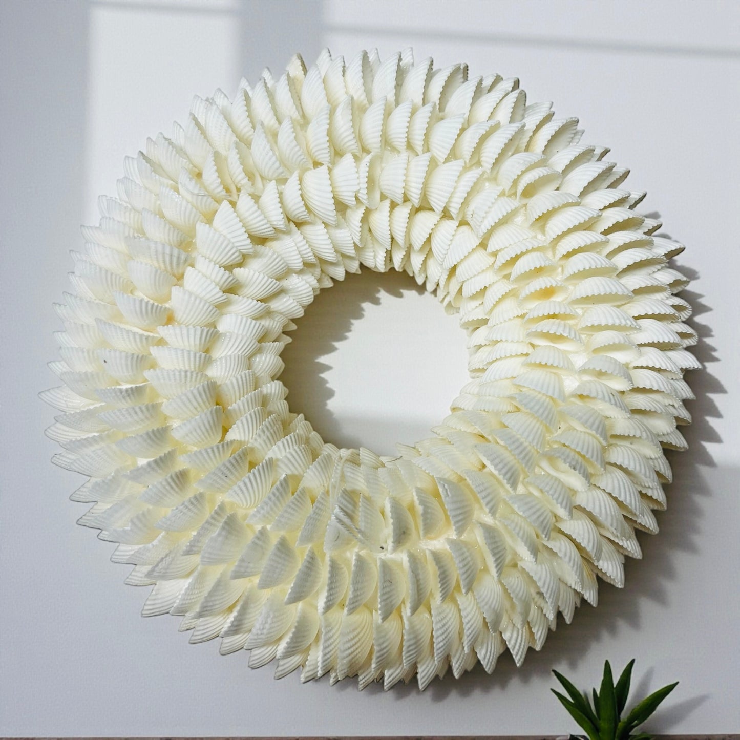 CLAMROSE SHELL WREATH